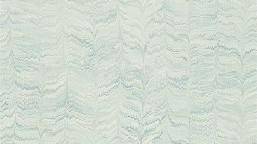 Jaipur Plain 311728